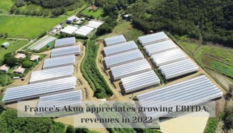 France's Akuo appreciates growing EBITDA, revenues in 2022