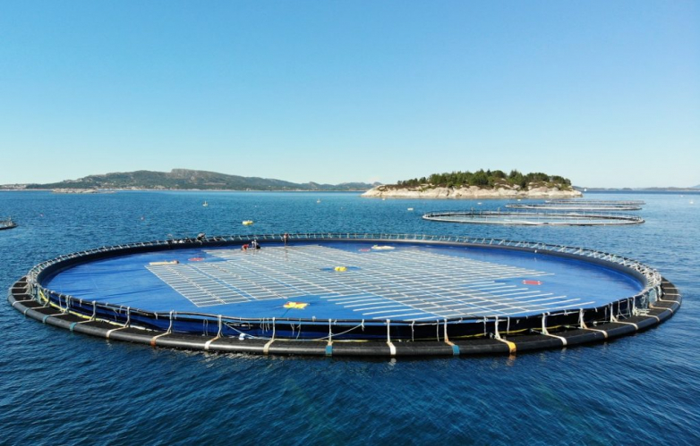 Ocean Sun asks for faster floating PV permitting, eyes utility-scale projects