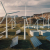Fred. Olsen's 100-MW Hybrid Energy Park Proposal in Scotland