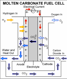 Top Hydrogen Fuel Cell Companies & Stocks