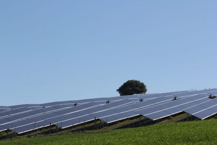 EU clears joint ownership of Spanish solar firm X-Elio by private equity duo