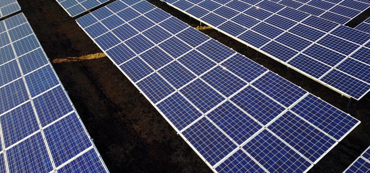 Leyline secures US$150m for early-stage solar and biogas investments