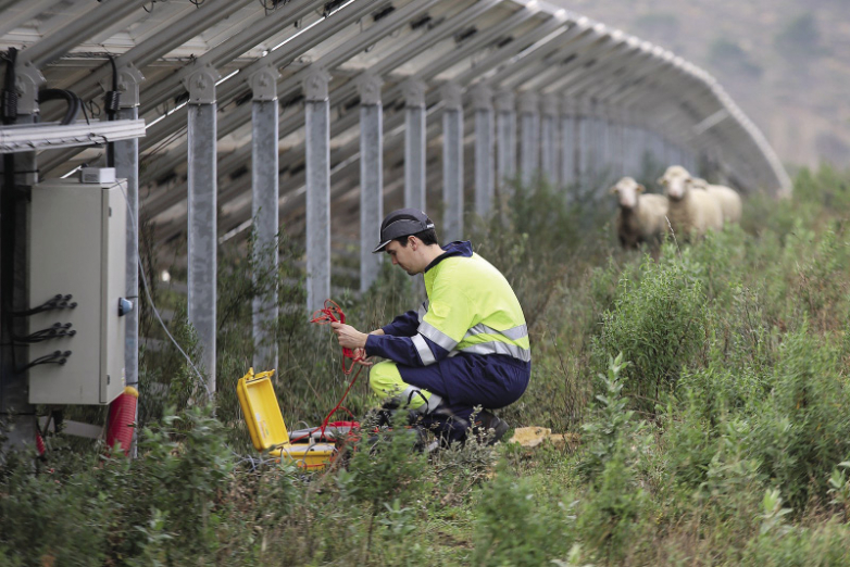 Enel leaps up solar developer global ranking after project spree