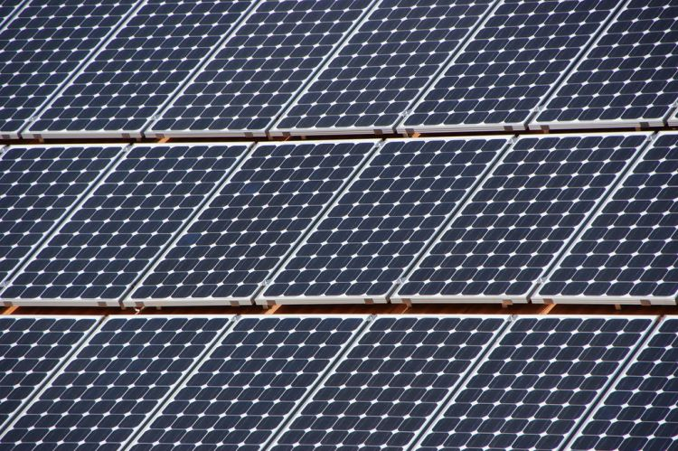 Tampa Electric to spend roughly US$ 800 million for 600MW of brand-new PV ability