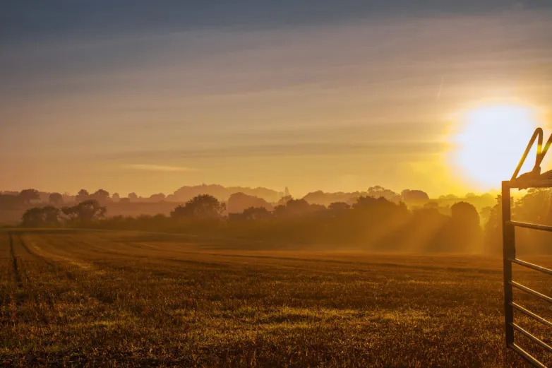 The nonrenewable fuel source titan and also agrivoltaics