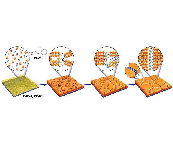 When driving to secure as well as safe perovskite solar cells