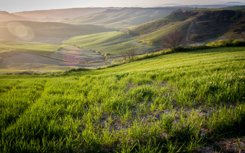 Italian government opposes large-scale PV growth in historic Tuscia area