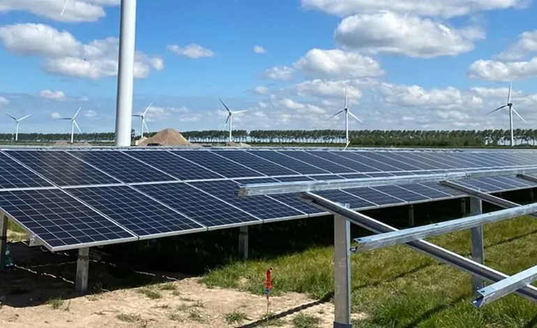 Vattenfall helps biodiversity flourish within solar projects