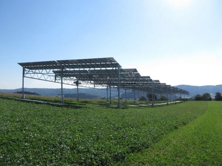 Fraunhofer ISE lands moneying for agrophotovoltaics research study at German apple orchard