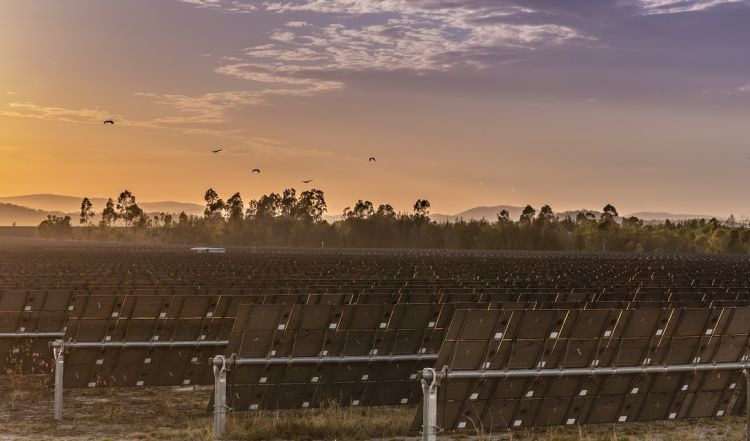 Large-scale renewable resource investment in Australia hits three-year reduced