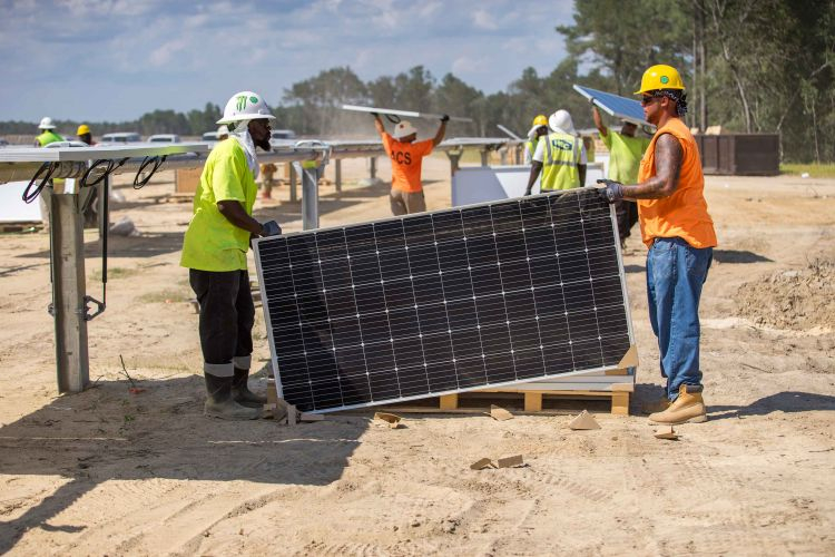 Solar companies unite to launch variety and addition effort