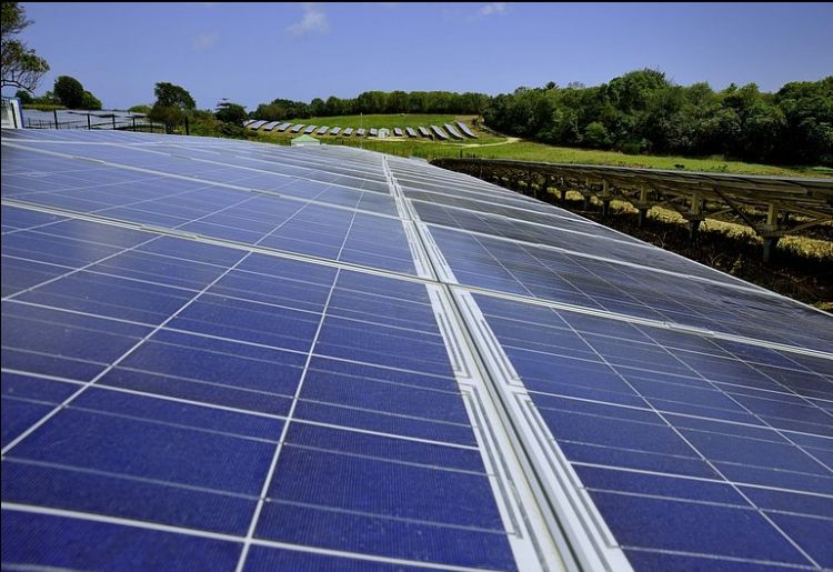 French solar industry warns of 'economic catastrophe' if suggested subsidy cuts proceed