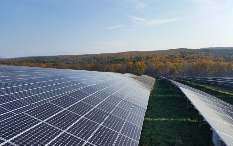 Home improvement chain Lowe's indications PPA for 250MW from Illinois solar farm