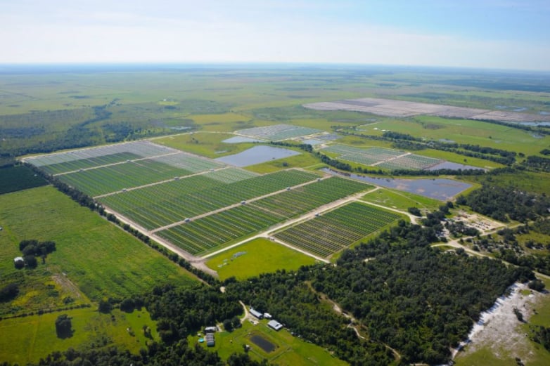 FPL submits four-year rate proposal enabling 894MW of solar growth