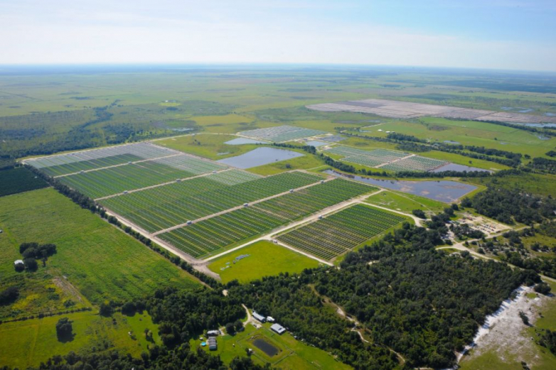 FPL submits fouryear rate proposal enabling 894MW of solar growth