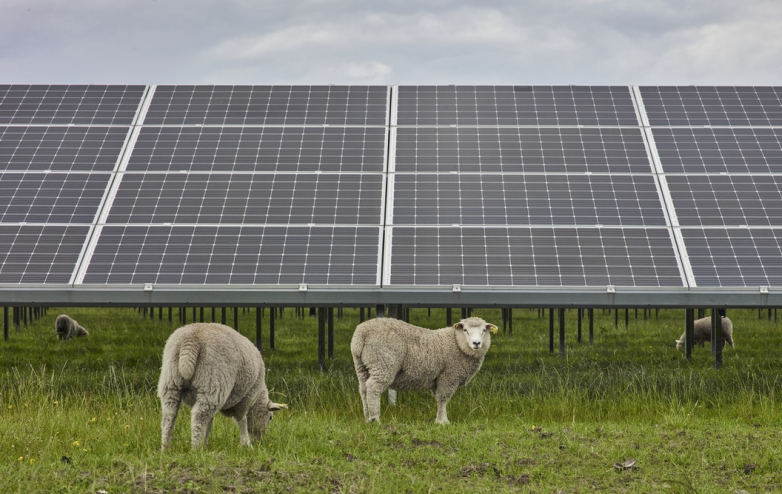 EDF, Cero Generation acquire French agroPV programmer with 2.4 GW solar portfolio