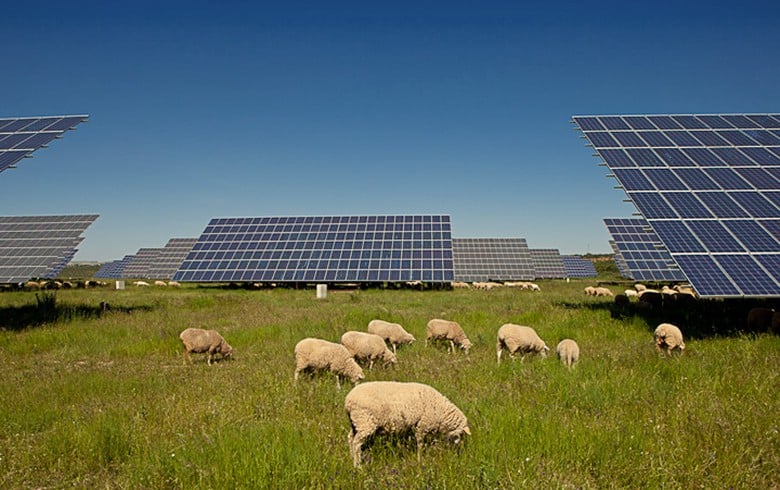 Matrix Renewables to get 300 MW of Iberian solar projects from Alten