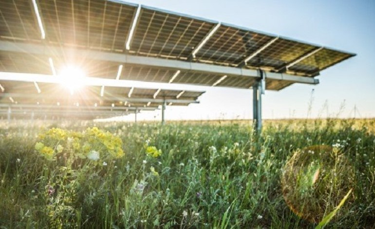 Greencoat Renewables goes into Spanish solar market