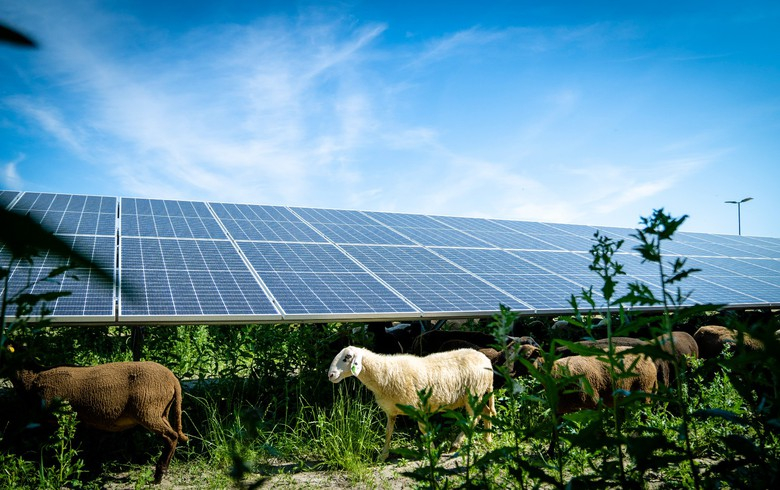 Austria's Wien Energie to add 28 MW of solar in 2022