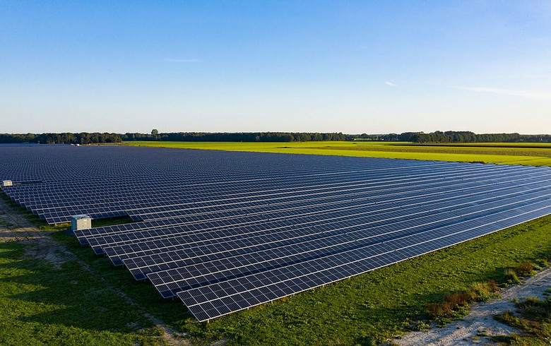 Blue Elephant Energy acquires 120 MW of Dutch solar projects