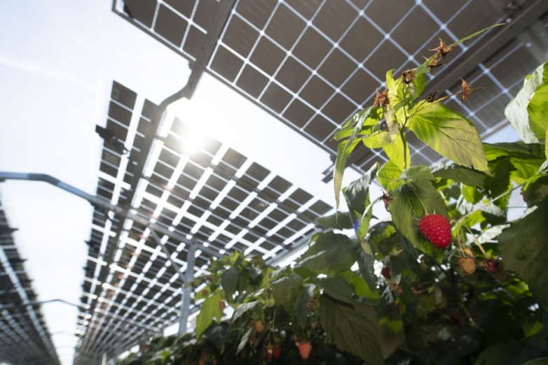 Germany to increase solar PV deployment on agricultural land