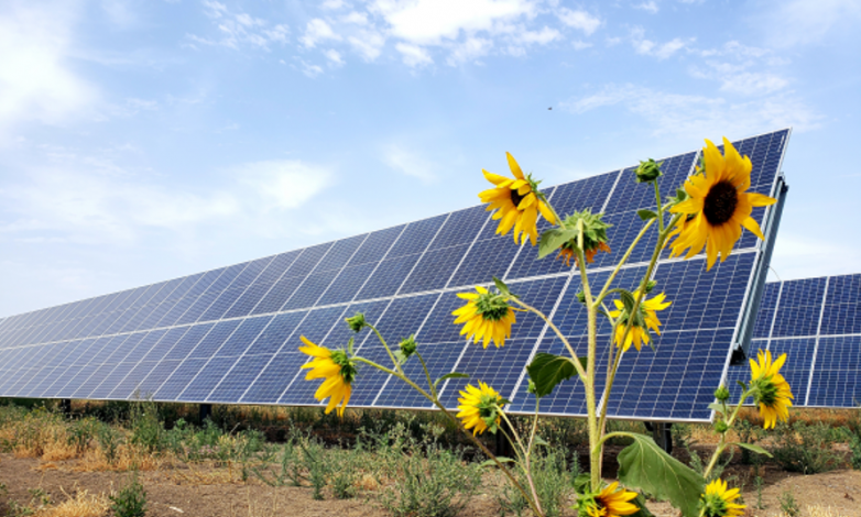 Statkraft partners with Italian university to check out the potential of agri-PV