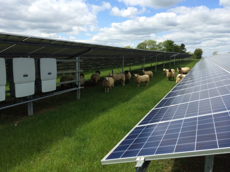 BayWa r.e. releases consultation for 160MW Oaklands Farm Solar Park