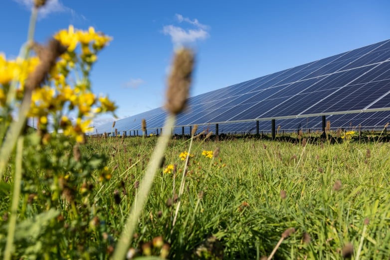 Vodaphone, Centrica and MYTILINEOS indicator PPA for 110MW of solar
