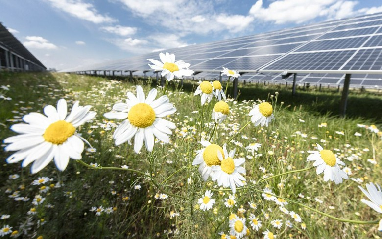 ALH Group invests in 597-MW EnBW solar farm portfolio