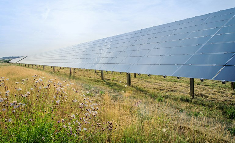 RWE obtains Polish solar developer