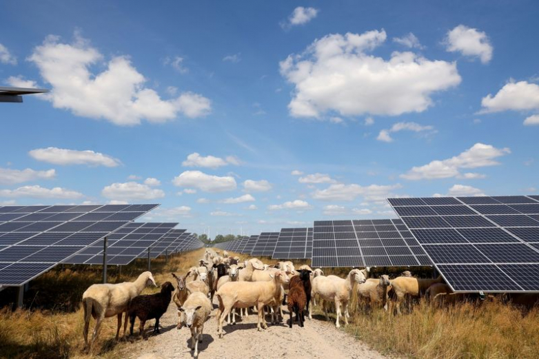 Europe's Summer of Record Solar Energy Saved Billions of Euros