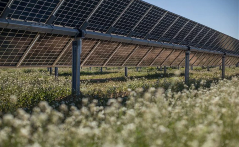 McDonald’s and Lightsource bp Ink PPA for 145 MW Solar Farm in Louisiana