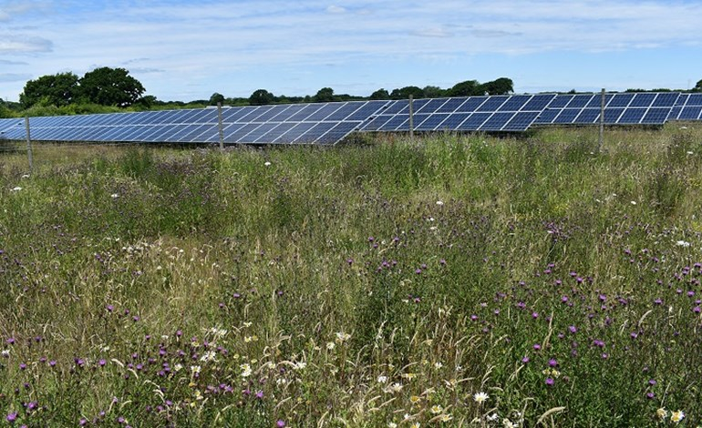 Belectric bags 150MW UK solar O&M deal