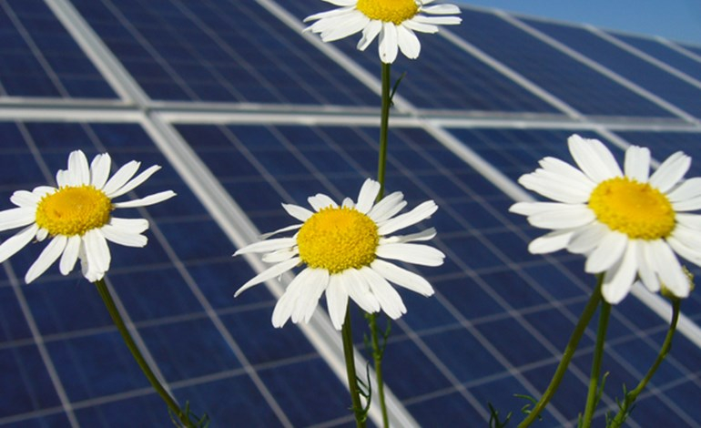 Infracapital agrees sale of solar PV platform Infram