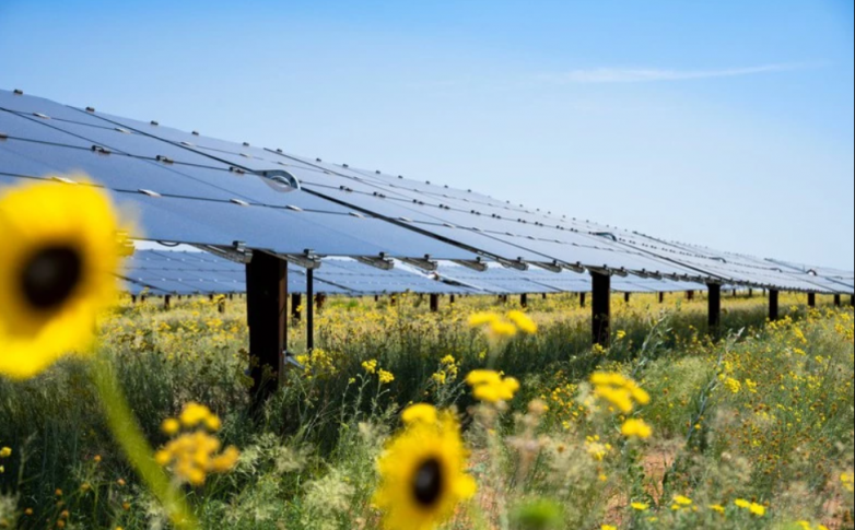 Longroad marketing 83-MW Virginia solar project to Dominion