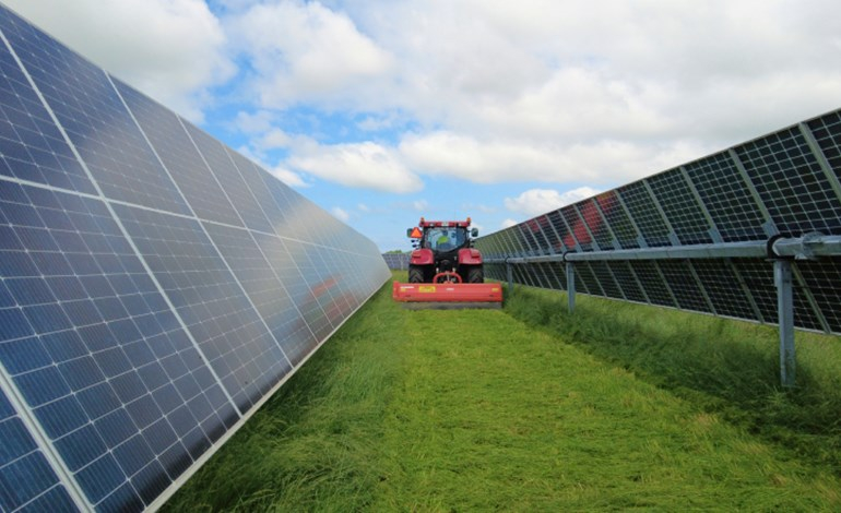 Renewable Connections sells two Scottish solar projects