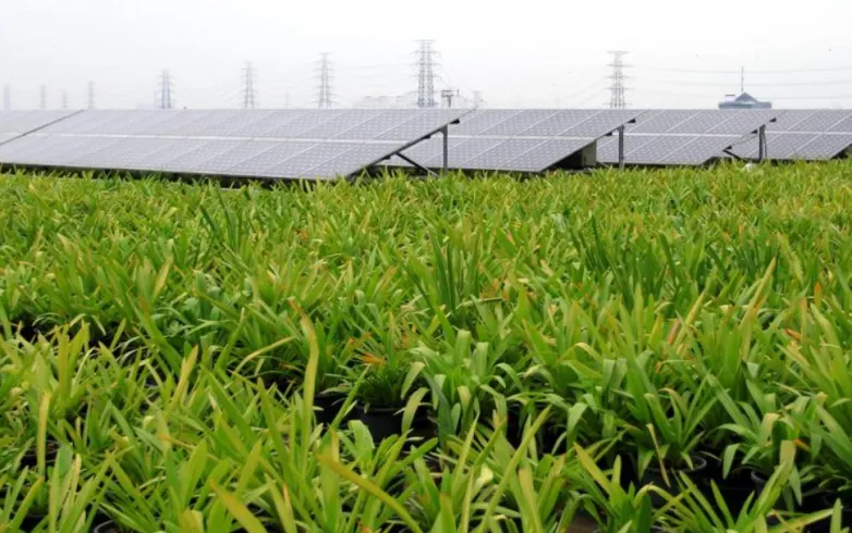 Albania preps 300-MW solar tender by June