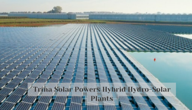 Trina Solar Powers Hybrid Hydro-Solar Plants