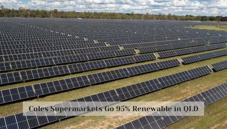 Coles Supermarkets Go 95% Renewable in QLD