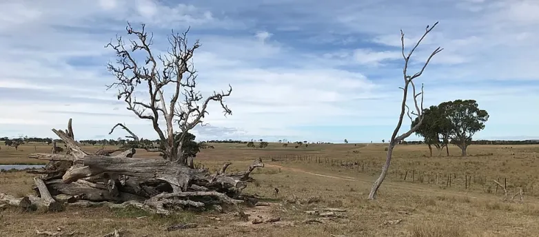 Australia accepts 720 MW solar ranch with large battery