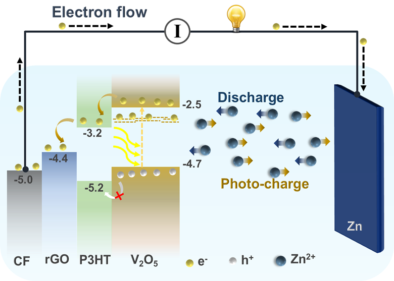 Photo-rechargeable zinc-ion devices merge solar cell and also battery technology