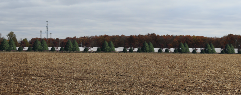 524MWh BESS project suggested in Indiana MISO region