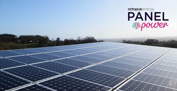Octopus launches brand-new Panel Power tariffs for companies with solar