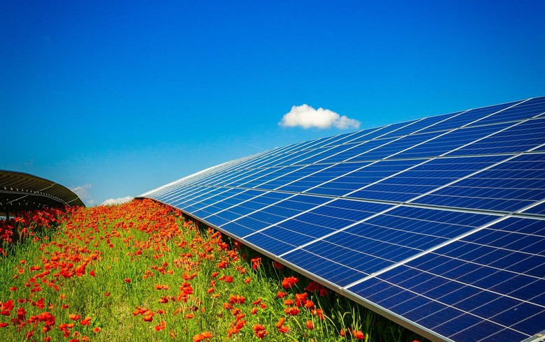 New platform targets public participation in solar projects in Germany