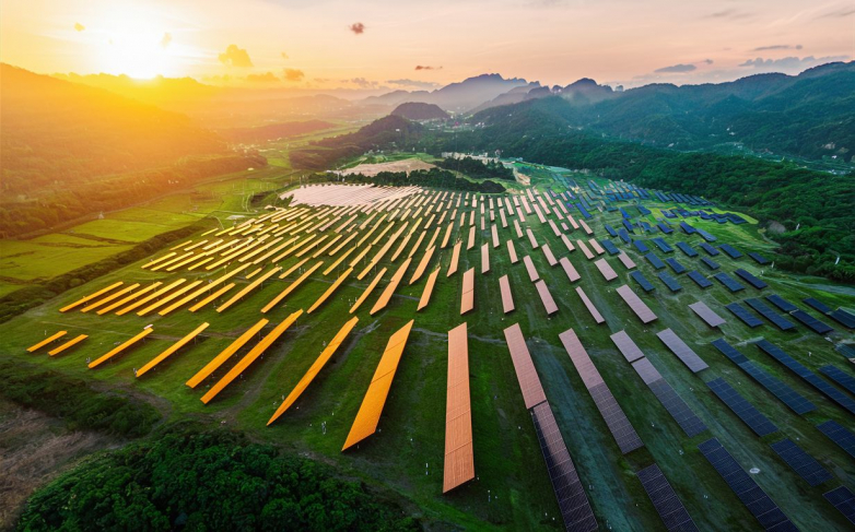 Coro Energizes Vietnam: 50-MW Solar Project Launches