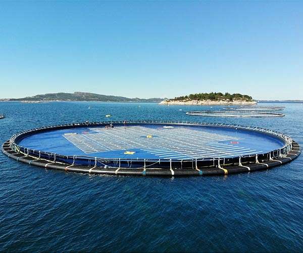 DNV GL confirms cutting-edge floating solar layout method for Ocean Sun