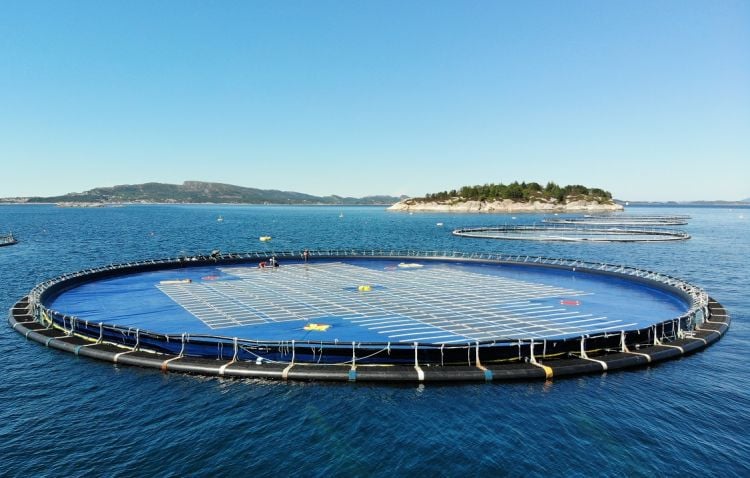 Floating solar pilot project near Canary Islands to face up to 10m-high waves