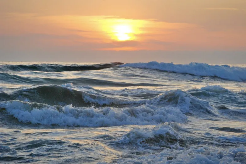 Harnessing the Power of Ocean Waves: A Renewable Energy Solution