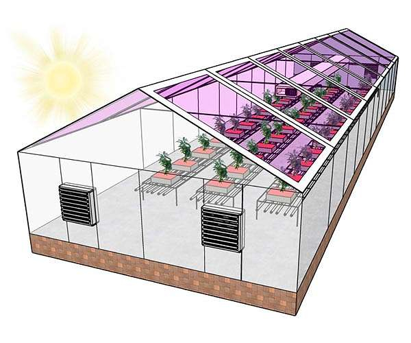 Future generation of greenhouses might be completely solar energy