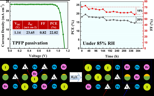 Moisture-resistant perovskite cell with 22.02% performance